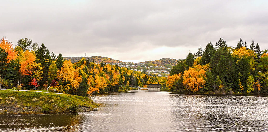 Autumn trees line to river in Corner Brook, Newfoundland, Canada